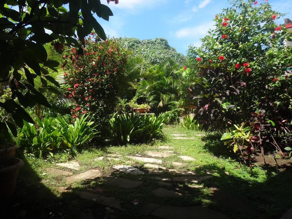 León Harvest House Nicaragua酒店 外观 照片